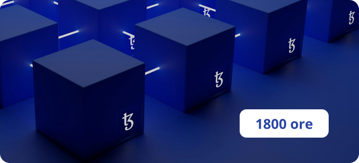 Blockchain Specialist 